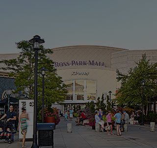 Louis Vuitton Store At Ross Park Mall