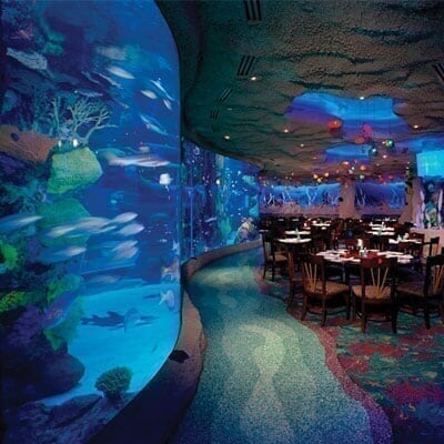 Opry Mills - Spot 1 - Aquarium Restaurant Dining Experience Aquarium-Restaurant_Spot-1_Mobile_m4_20191030110116.jpg