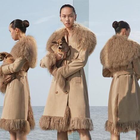 San Francisco - Promo - Burberry - Copy image