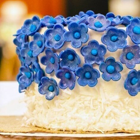 Anchorage 5th Avenue Mall - Promo - Alaska Cake Studio image