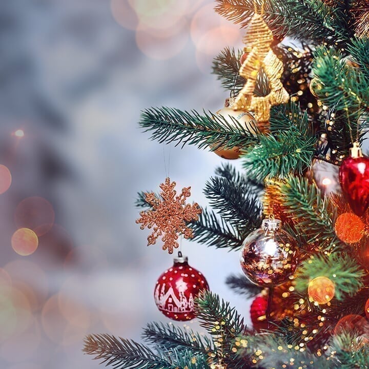 Carolina PO - Spot 5 - Holiday Extravaganza Craft Fair Christmas-Tree_Spot-2_d4_20191115165933.jpg