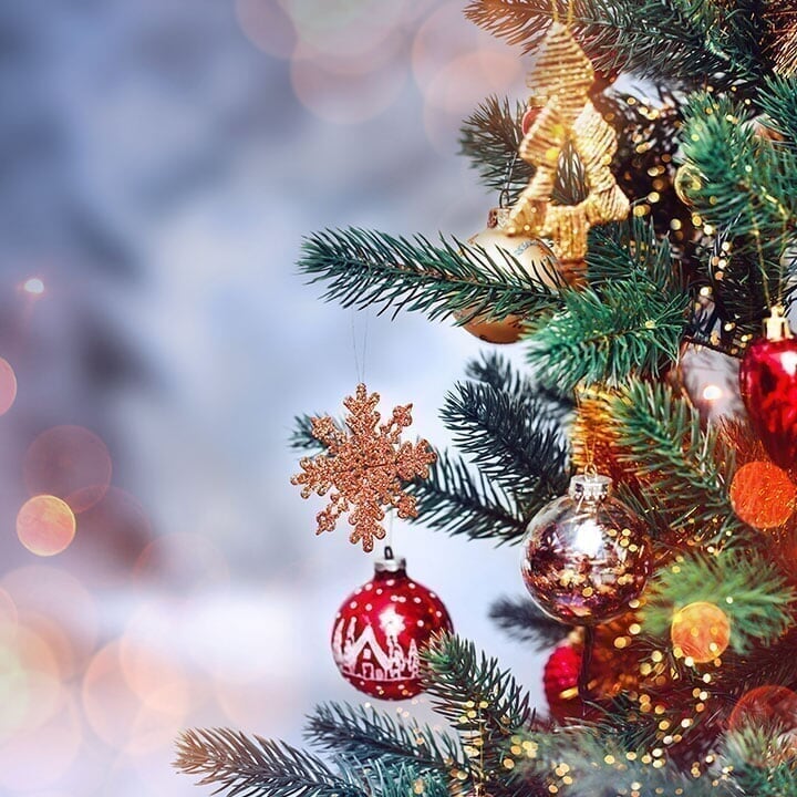 Fashion Centre at Pentagon CIty - Spot 6 - Festival of the Trees FestivalofTrees_Spot6_d4_20191121131929.jpg