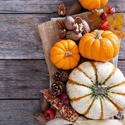 Grove City PO - Spot 4 - Holiday Bazaar Harvest-Festival_Spot-1_Mobile_m4_20191107135951.jpg