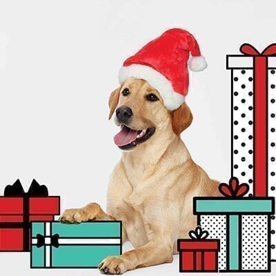The Galleria - Promo - Pet Photos with Santa Pet-Photo-with-Santa_Promo.jpg