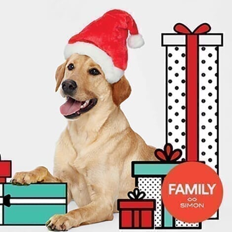 Tyrone Square - Promo Spot - Pet Photos Pet-photos_FAS_Promo_d4_20191031114549.jpg