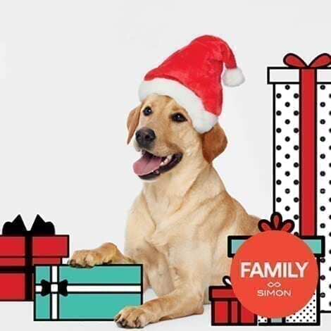 Lehigh Valley - Promo Spot 3 - Pet Photos Promo_FAS_PetPhoto.jpg