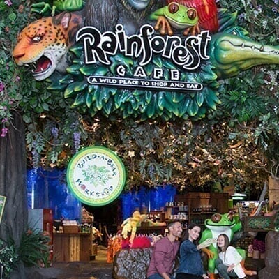 Grapevine Mills - Spot 4 - Rainforest Cafe image