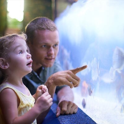 Arizona Mills - Spot 4 - Sea Life Arizona SEA-Life_Arizona_Spot-1_Mobile_m4_20191030170452.jpg