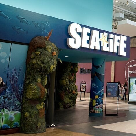 Welcome To Concord Mills® - SEA Life ConcorD Promo D4 20191213115052