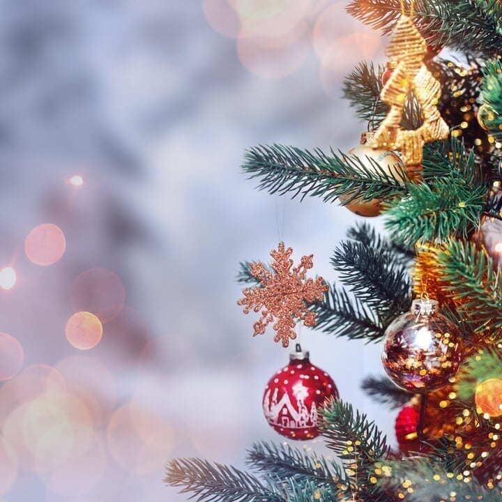 Cape Cod Mall - Spot 2 - Coming Soon: The Spectacle of Trees Spot2_TreeLighting_d4_20191030152543.jpg