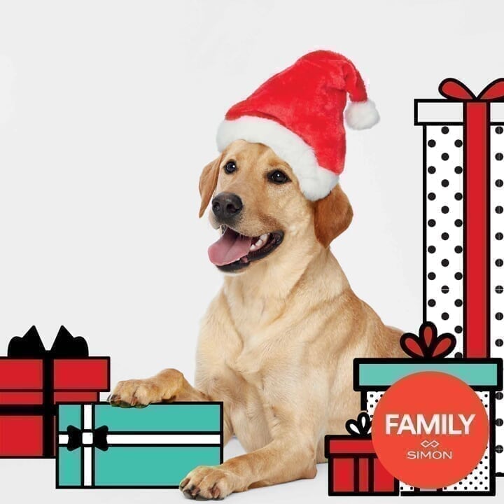 Newport Centre - Spot 2 - Pet Photos with Santa Spot5_PetPhoto_d4_20191102173521_d4_20191121231343.jpg