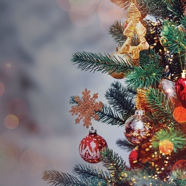 Allen Premium Outlets - Spot 2 - Ultimate Holiday Kickoff allen_spot2_holiday_d4_20191119115932.jpg