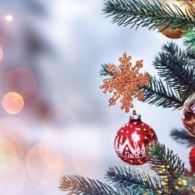 Carlsbad PO - Spot 4 - Holiday Tree Lighting carlsbad_spot4_mobile_m4_20191101111914.jpg