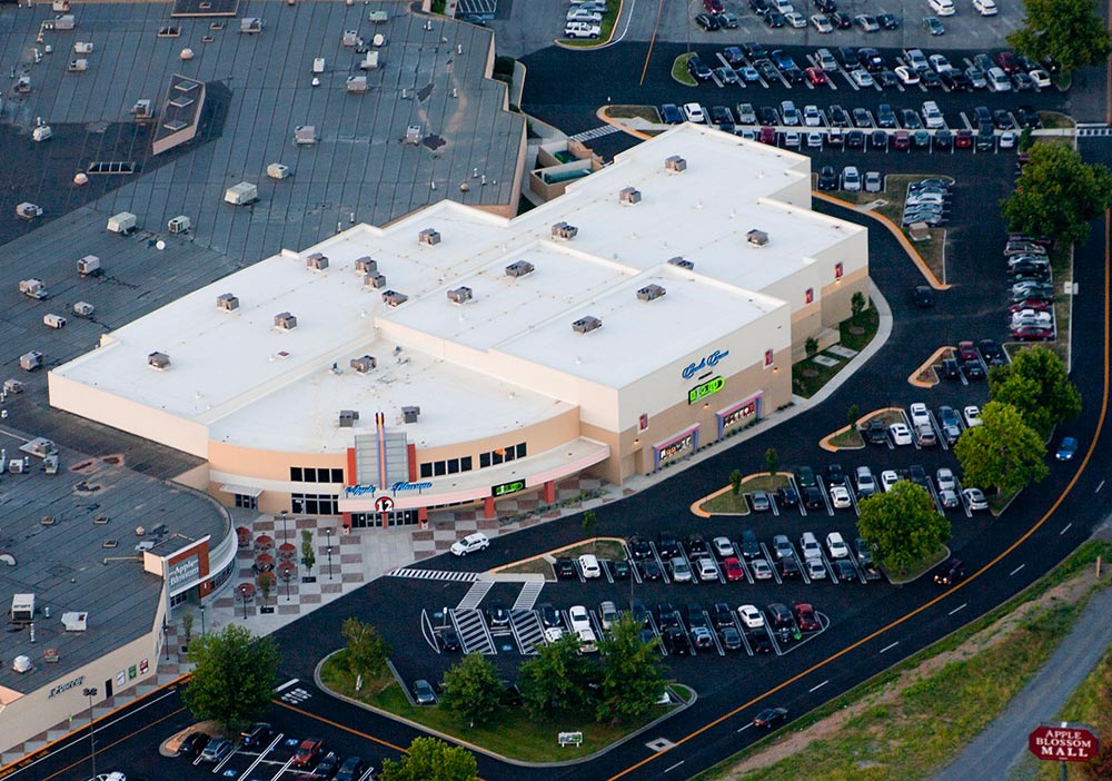 shoe department apple blossom mall