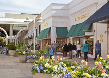 Mall Image