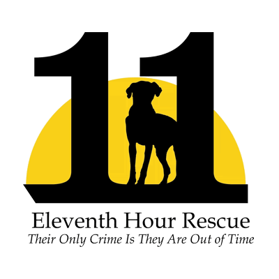 Eleventh Hour Rescue