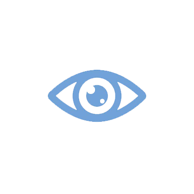 The Optometrist